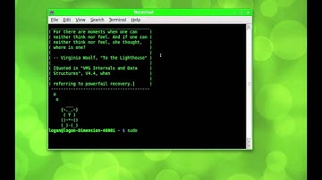 How to Install Programs on Linux Via Terminal