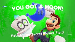 Twitch VOD (2019-01-06) More Super Luigi Odyssey Beta Testing run! (part 2)