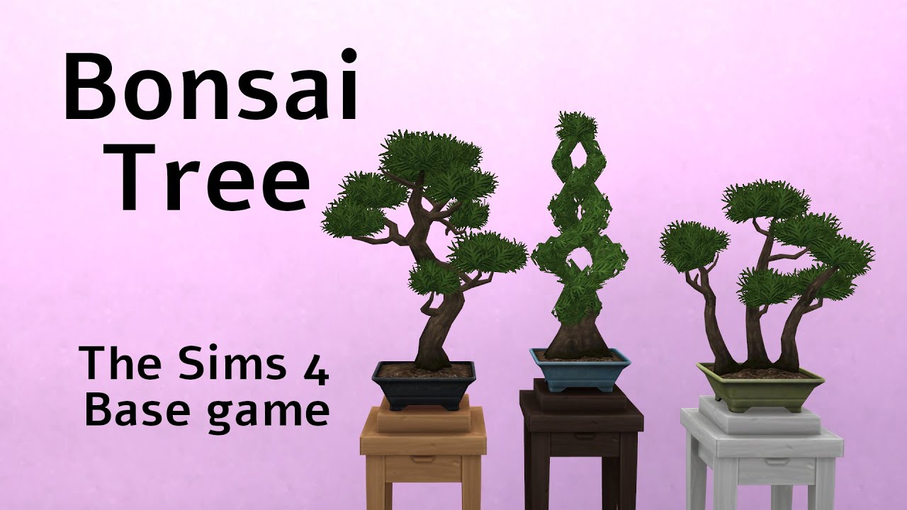 Bonsai Tree The Sims 4 YouTube