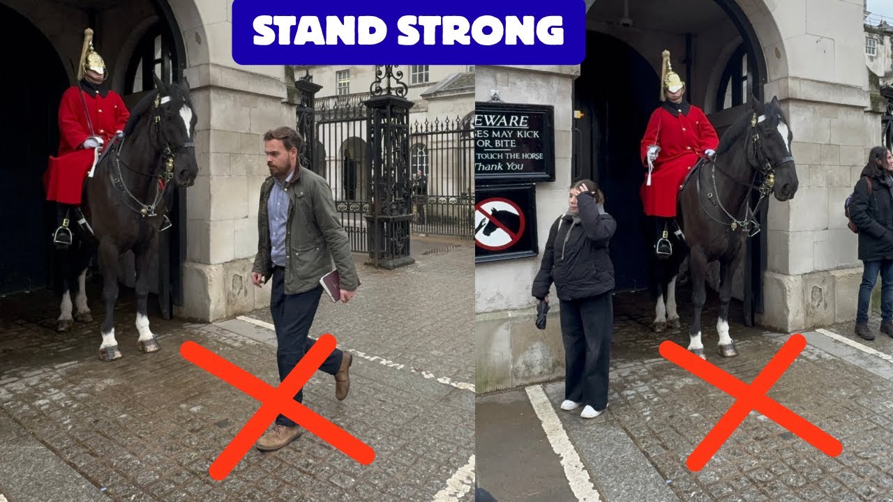 WOW 😳 King’s Guard Lets Many Pass After Warning Tourists