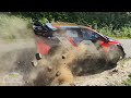 Test rally de portugal 2024 hyundai motorsport otanak  mjrveoja maximum attack  show
