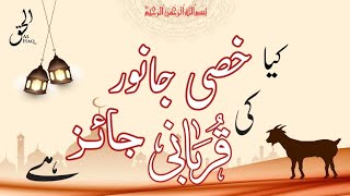 Kiya Khassi Jaanwar ki Qurbani Jaiz Hei ? | Eid ul Azha | Sufyan Qureshi |
