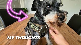 PoyPet No Pull Dog Harness, No Choke Reflective Dog Vest, Adjustable Pet Harnesses Review
