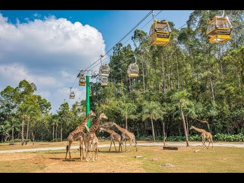 Vidéo: Guide du visiteur du parc des dinosaures de Changzhou