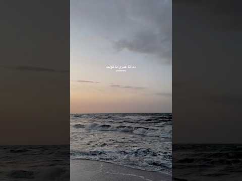 محتاج أطمن مش عارف خالد الصيفي محمد منير خايف حالات واتس روقان الكينج 