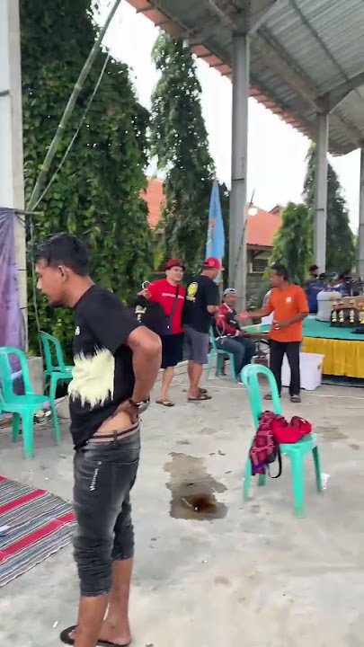 silaturahmi sesama penghobi #perkutut #burung #perkututlokal #perkututgacor @ekoorapopo5819