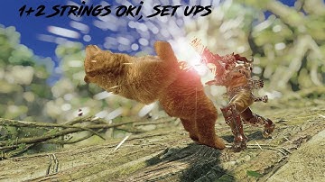 Armor King - 1+2 Strings Oki and Set ups