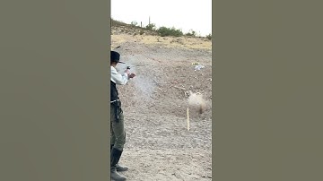 Is This Luck Or Skill? #cowboy #wildwest #rdr2 #gunslinger #singleactionshootingsociety #trickshots