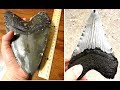 5 Best Places To Find Megalodon Teeth