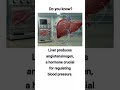protein synthesis and blood regulation process of liver