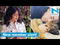 Priyanka Chopra, Nick Jonas welcome new family member