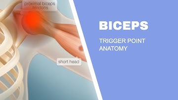Bicep Muscle Trigger Points and Pain Referral