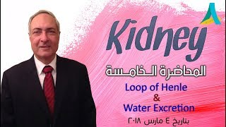 Dr.Nagi - Live Physiology - Lecture 83 - Kidney (5) - Loop of Henle & Water Excretion