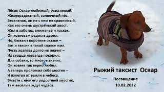 Рыжий таксист Оскар. Посвящение. 10.02.2022