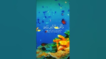 تلاوه خاشعه للشيخ ياسر الدوسري سوره لقمان #تلاوه