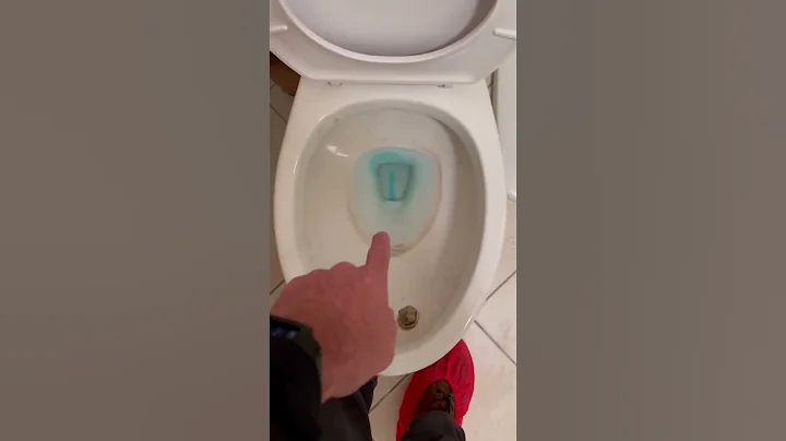 Die testing toilets to save customers money #shorts #plumber #tipsandtricks