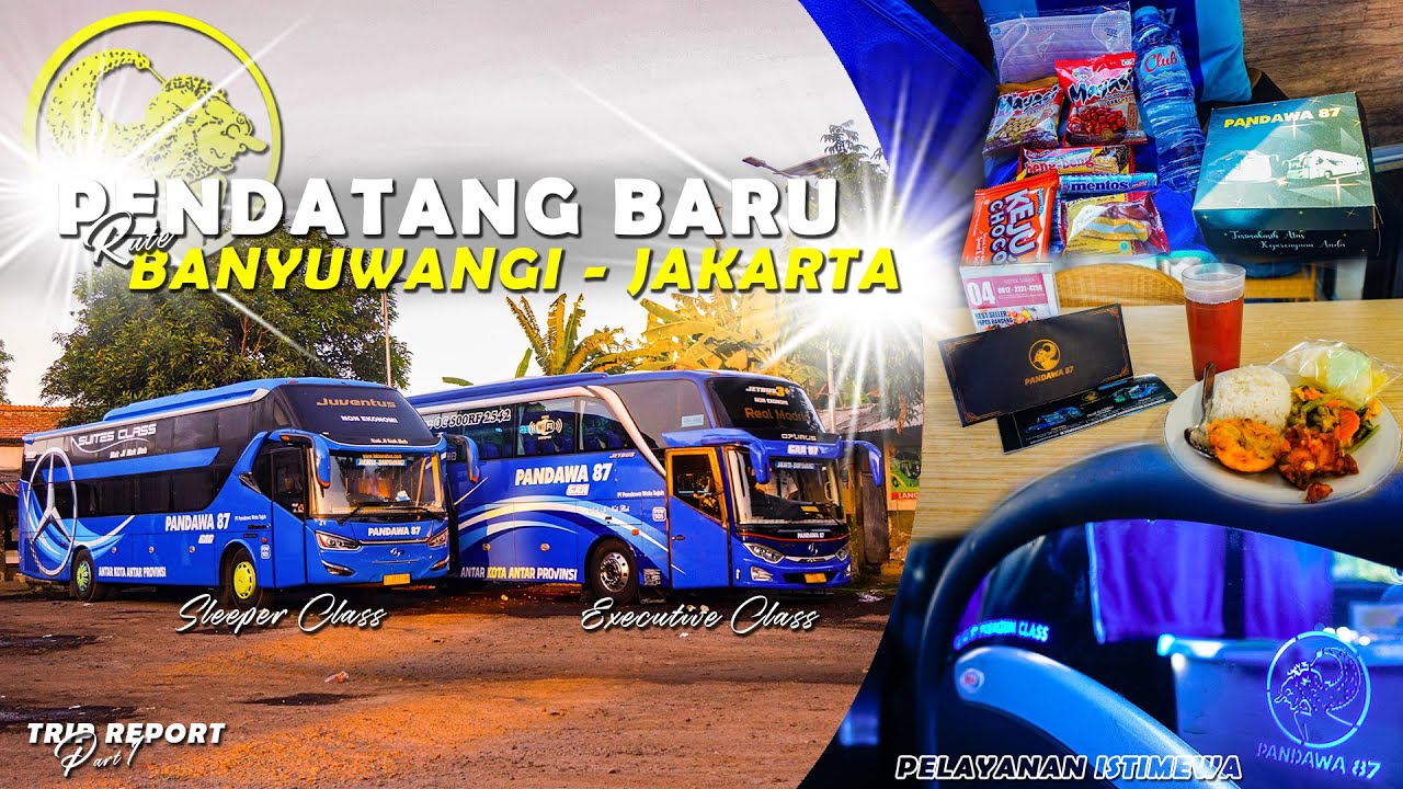 [Line Perdana Tronton Pandawa 87 !!!] Gebrakan Super Keren!!! | Trip Pandawa 87 Executive Class
