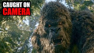 Top 8 Creepiest Bigfoot Encounters Caught on Camera