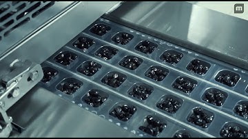 Customer Video Marmarabirlik (Turkye)