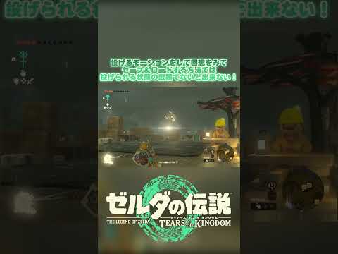 【V1.1.2】超絶簡単！セーブやロード無しで素材無限増殖バグ【ティアキン】