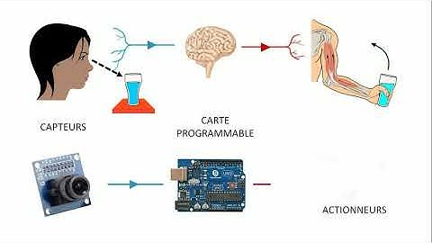 De quoi est composé un système automatisé ?