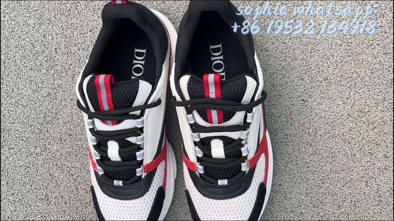 DIOR b22 Sneakers On Feet & UnboxingReview（Red) 