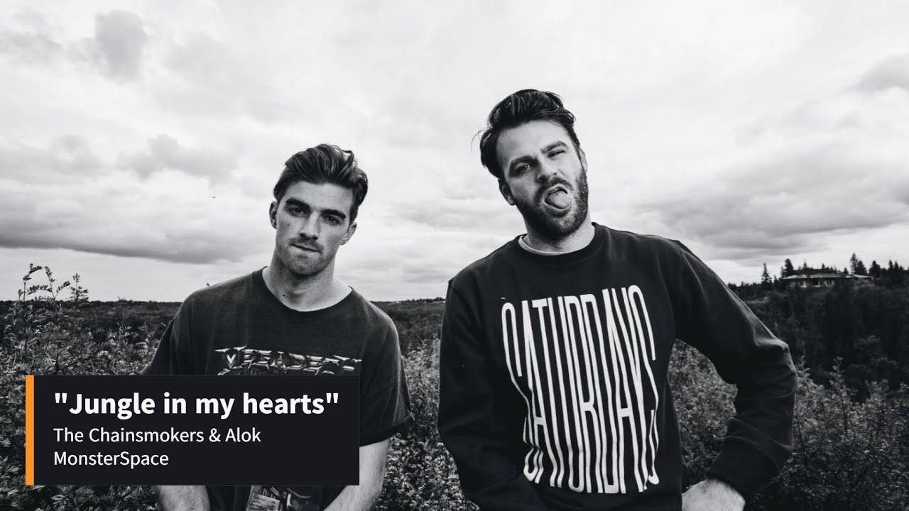 Alok, The Chainsmokers & Mae Stephens – Jungle Lyrics