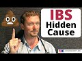 Irritable BOWEL Symptoms (Hidden Cause Revealed) IBS/Crohn's/Ulcerative Colitis