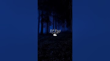 اكتب شي تؤجر عليه #القارئ محمد اللحيدان