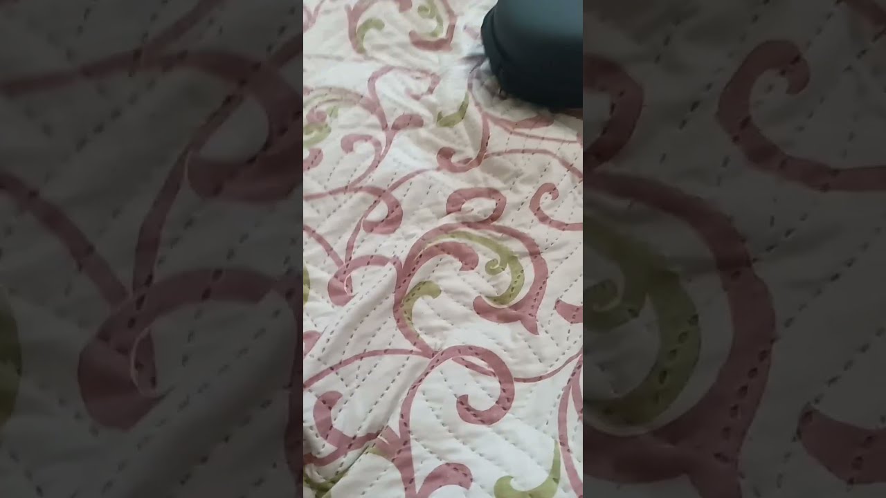 🎶🎶🎶