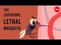 The loathsome, lethal mosquito - Rose Eveleth