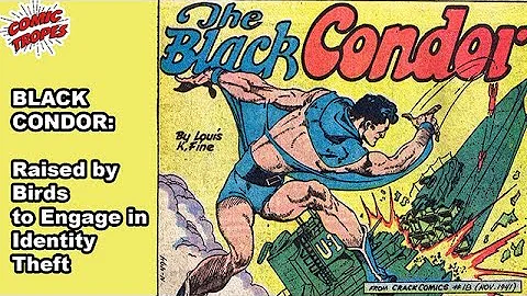 Black Condor: An Identity-Stealing Superhero Raised by Birds - DayDayNews