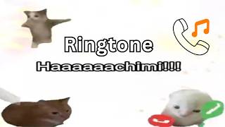 Hachimi Hachimi song Ringtone