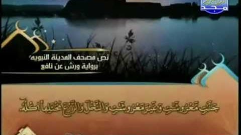الختمة المرتلة للشيخ العيون الكوشي - الجزء الثامن ( 8 ) - قراءة برواية ورش عن نافع