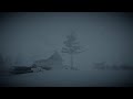 Heavy Blizzard Storm at Night┇Howling Wind & Blowing Snow┇Sounds for Sleep, Study & Relaxation