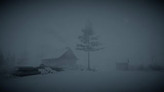Heavy Blizzard Storm at Night┇Howling Wind \& Blowing Snow┇Sounds for Sleep, Study \& Relaxation