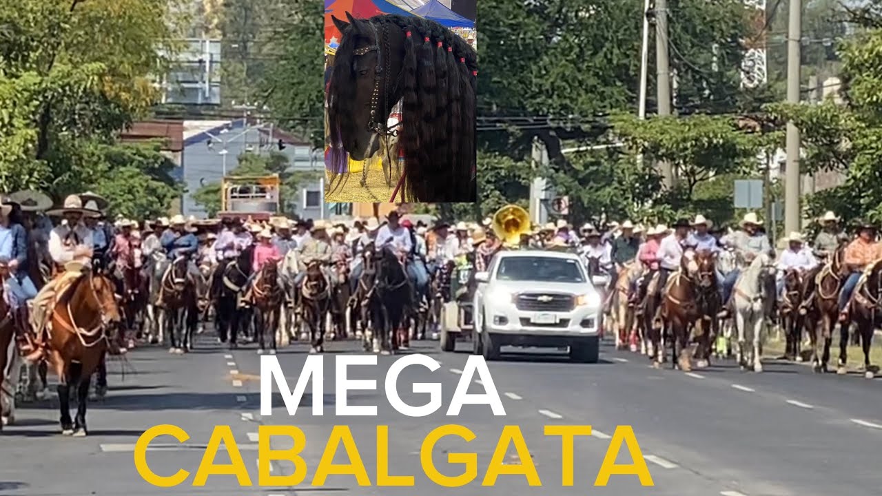 MEGA CABALGATA EXPO GANADERA 2025 Guadalajara #cabalgatas #caballos 