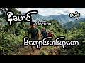 မိကျောင်းတစ်ရာတော - စဆုံး