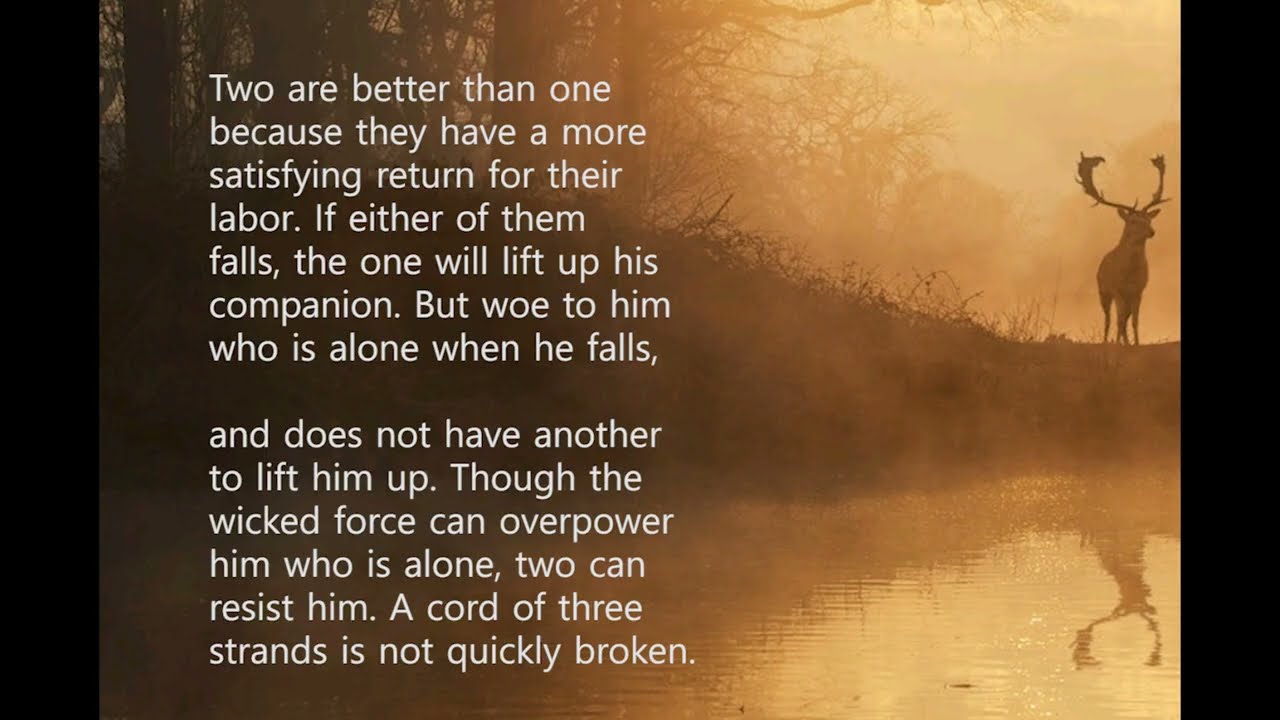 Teamwork is better than individual ability to make work more productive and effective.
