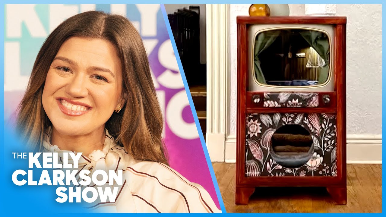 Kelly Clarkson Loves Brooklyn Artist's Vintage TV Cat Beds
