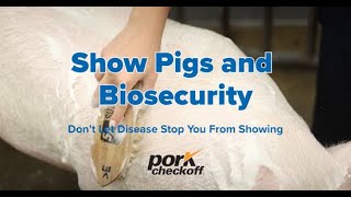 Show Pigs And Biosecurity Dont Let Disease Stop You From Showing - Recorded May 2024