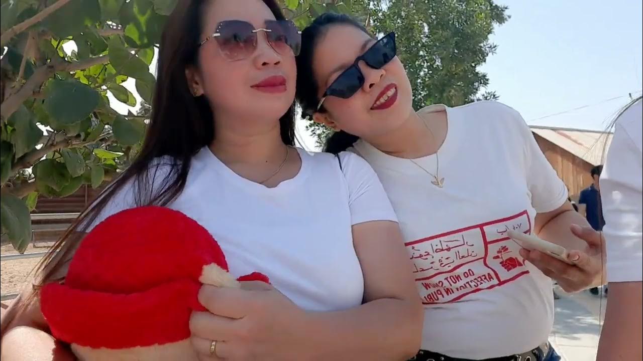 Tour in animal shelter (abdulih farm kuwait) YouTube