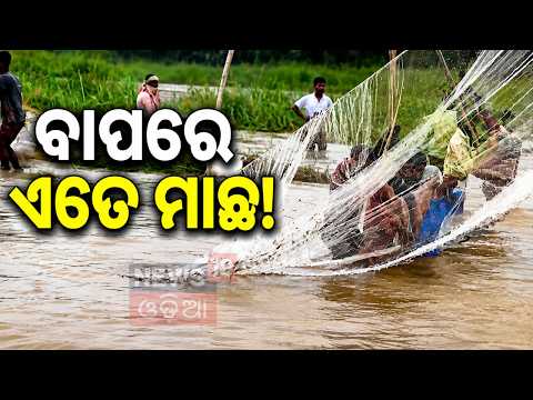 କିଏ ଜାଲରେ ତ କିଏ ବାଡ଼ିରେ... Thousands Swarm Sundara River as Tikhali Dam Gates Open | Odisha Flood