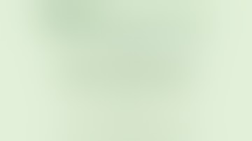 Urban Outdoor 2020 Episode 2 - SCROG Setup