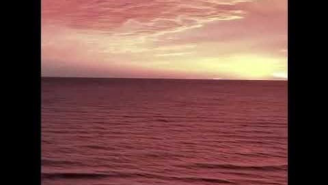 ﴿وَنَجَّينَا الَّذينَ آمَنوا وَكانوا يَتَّقونَ﴾ تلاوة بصوت الشيخ سالم الصبياني ماتيسر من سورة فصلت