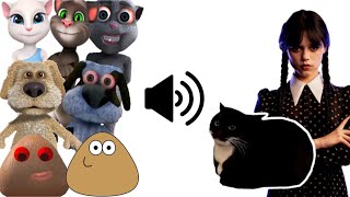 "Maxwell cat Wednesday" But it's Voice of Other Cats Dogs Pou