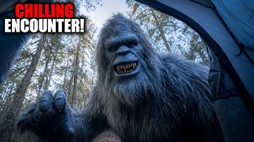 Bone-Chilling Bigfoot Encounters Caught in the Wilderness