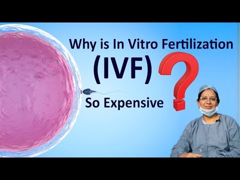 why-is-in-vitro-fertilization(ivf)-so-expensive-|-dr-padmaja-fertility-center-karimnagar