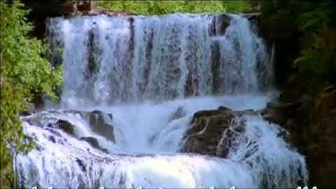 Surat Al-Tahreem Saad Alghamdi سورة التحريم الشيخ سعد الغامدي