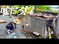 軽トラ車中泊 キャンプ場で最悪の悲劇が起こる。過去と別れと復活へ tetuchannel